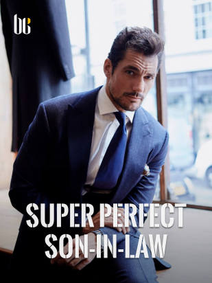 Super Perfect Son-in-law